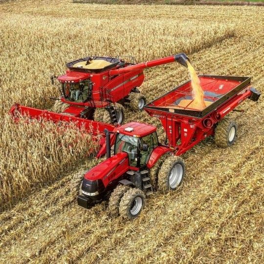 Machinery & Equipment 4